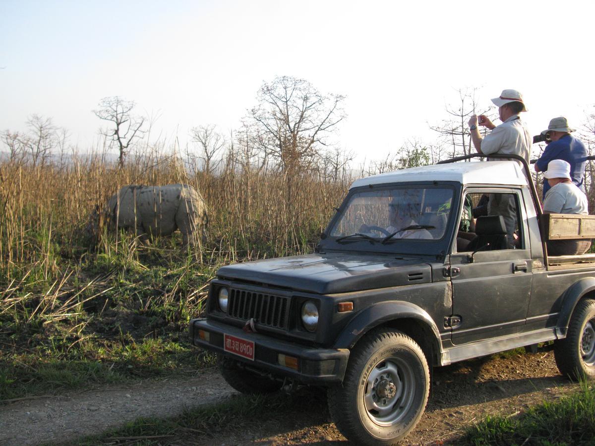 Rhino Land Jungle Lodge Sauraha Luaran gambar