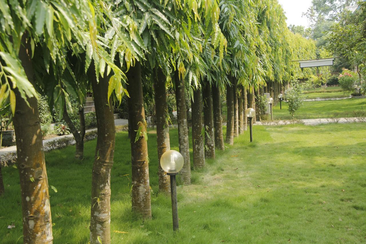 Rhino Land Jungle Lodge Sauraha Luaran gambar