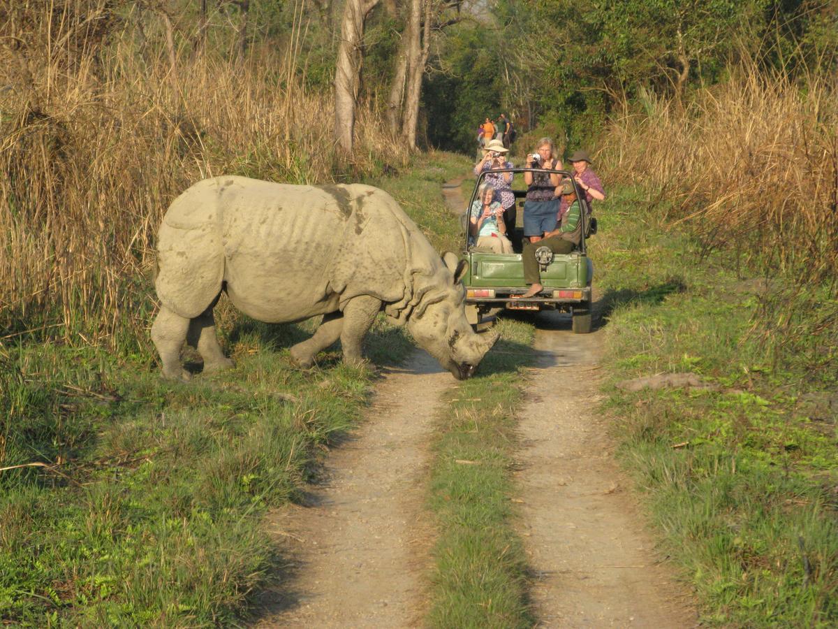 Rhino Land Jungle Lodge Sauraha Luaran gambar